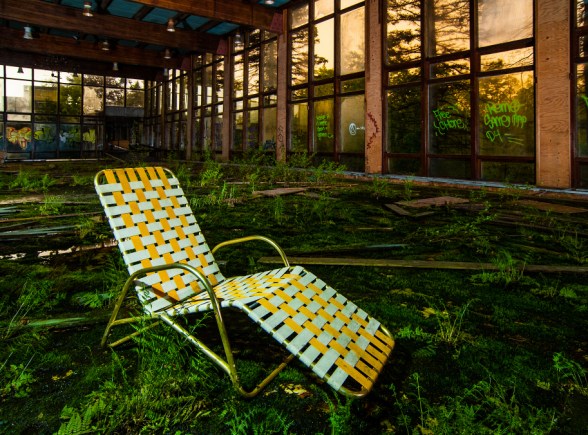 lawn chair sitting in a room overgrown with moss and ferns