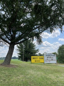 Photo of the Dussel farm sign under a tree